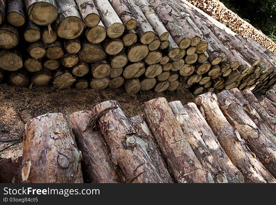 Stacks of the wooden logs