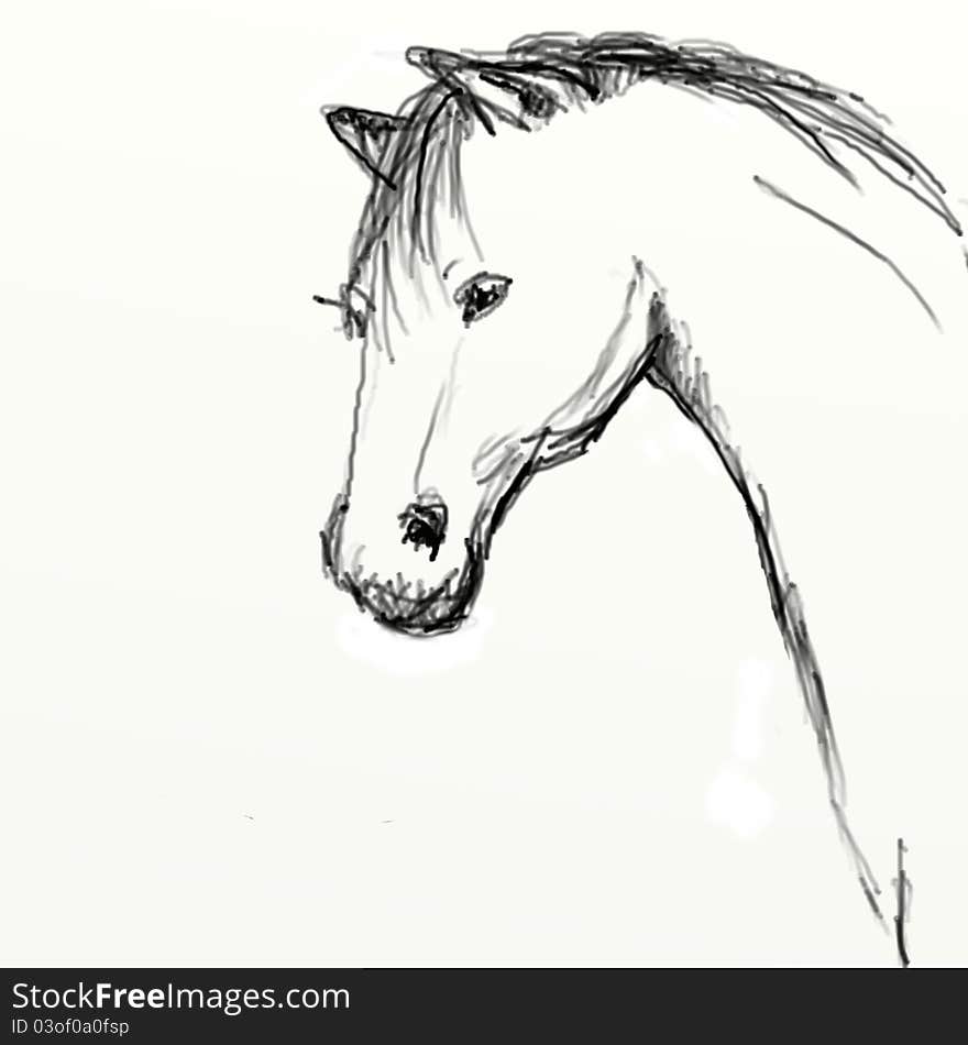 Hand Drawn Horse Head Sketch