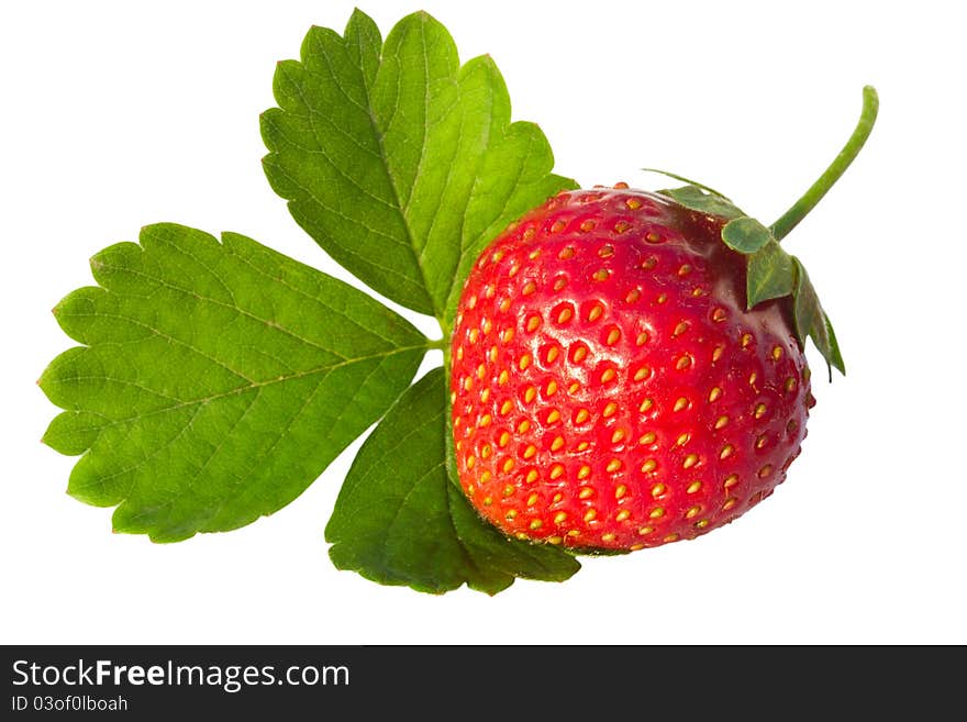 Strawberry with leaves isolated on white