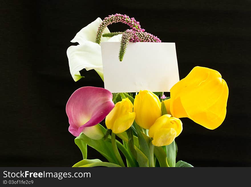 Beautiful bouquet of tulips and calla lilies on a black background