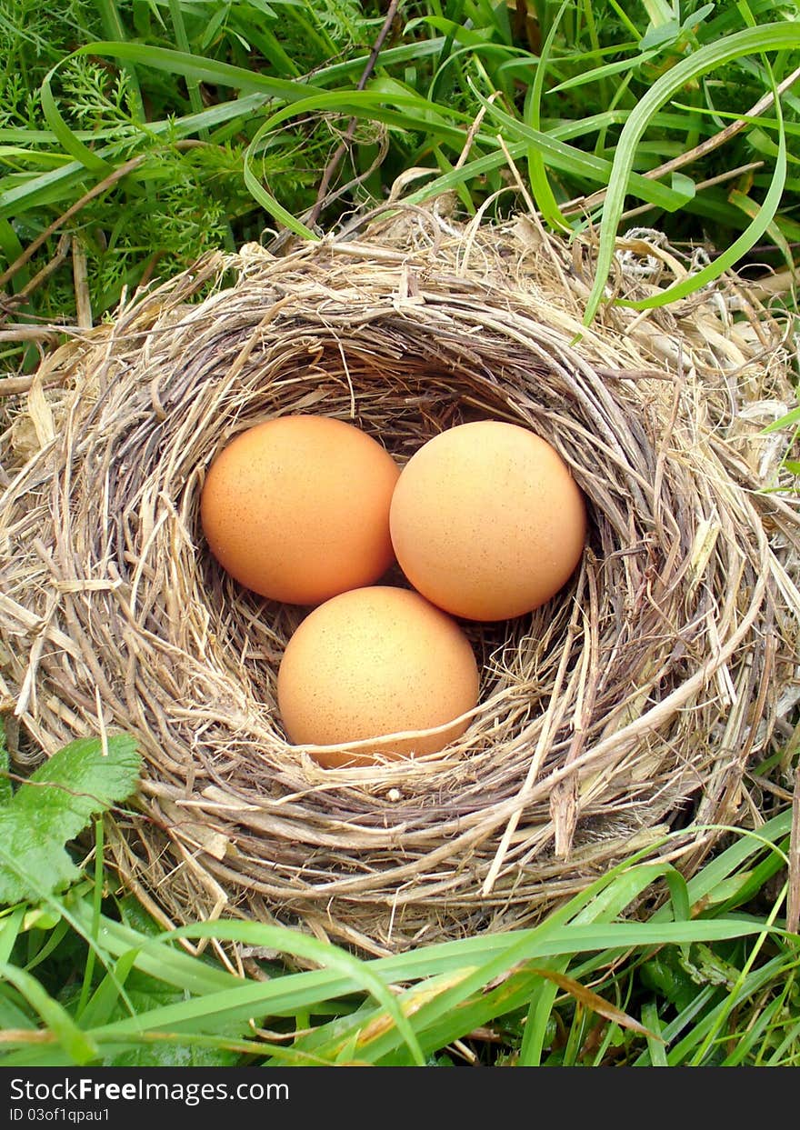 Easter eggs in the nest