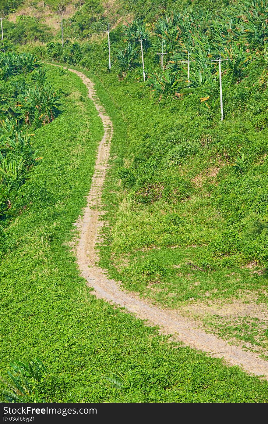 Country rural gravel road and grass