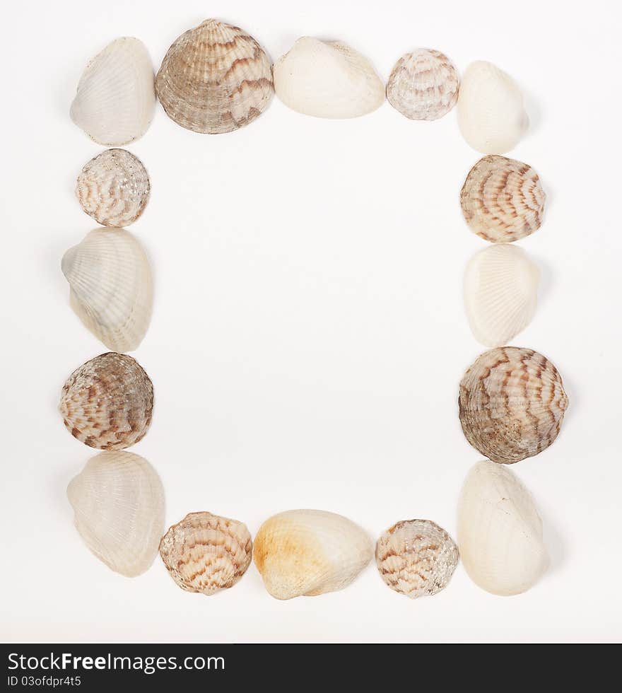 Square frame made from sea shells on white