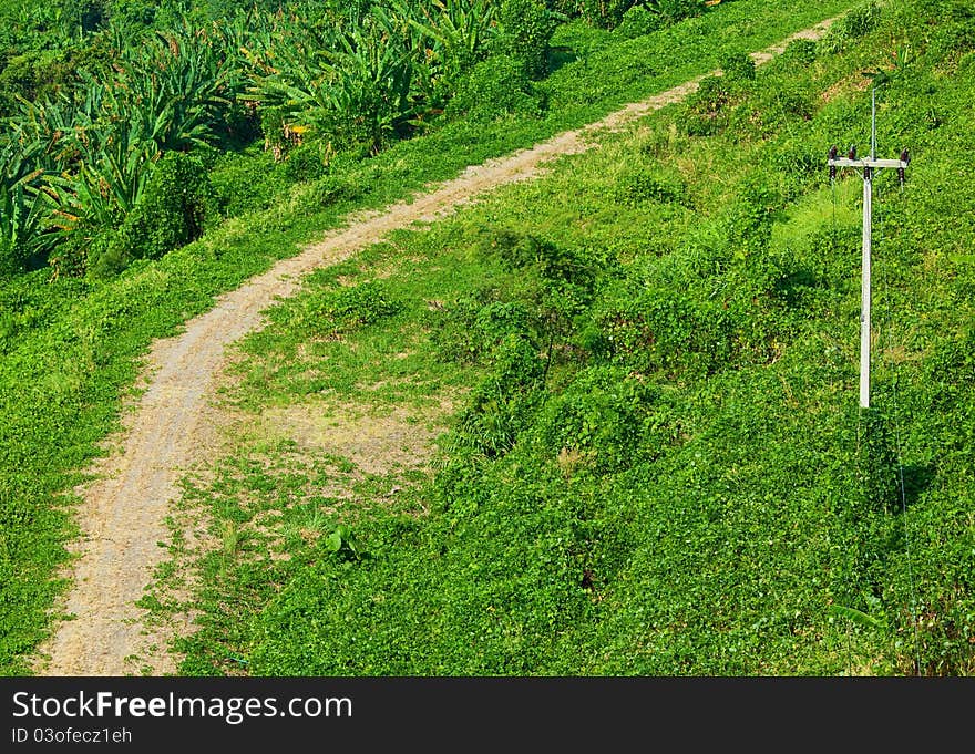 Country rural gravel road and grass