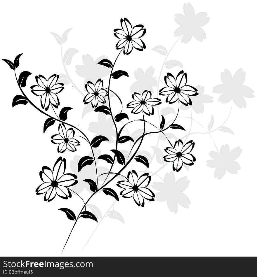 Beautiful flowers on white background. Beautiful flowers on white background