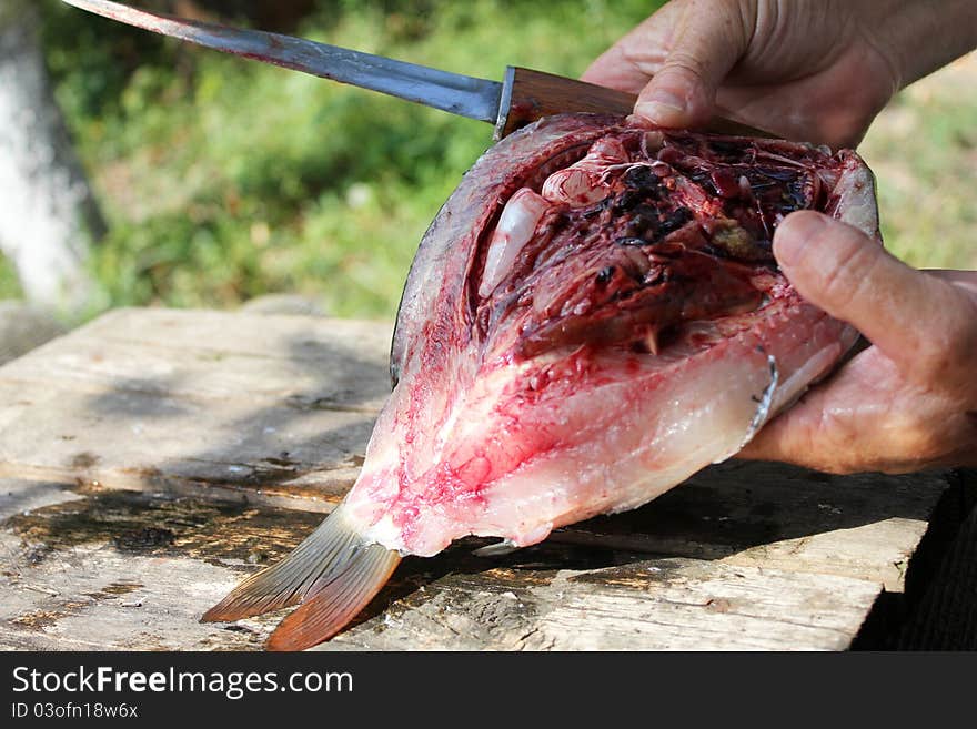 Cutting Fresh Fish On Wooden Plank