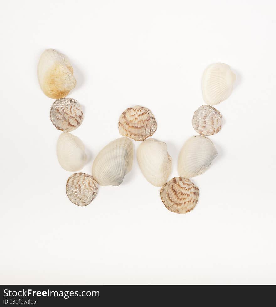 Alphabet Letter Made From Sea Shells