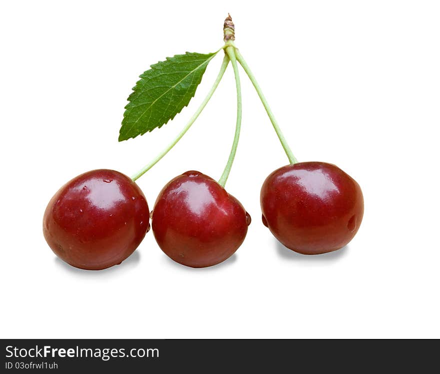 Three cherries isolated on a white background