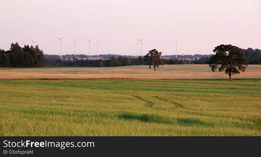 Rural landscape with wind turbines