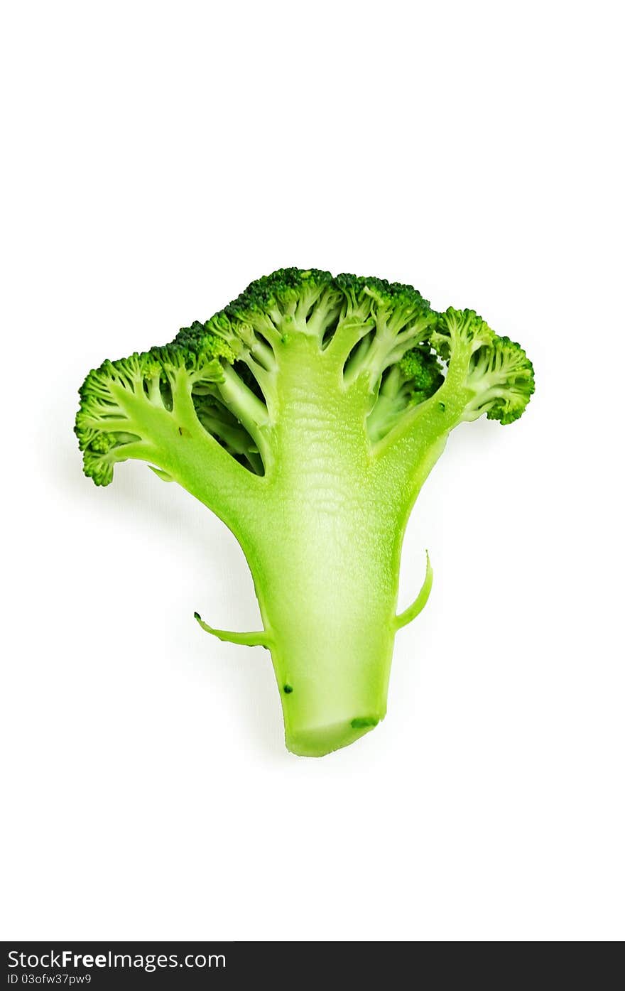 The cut inflorescence of a broccoli