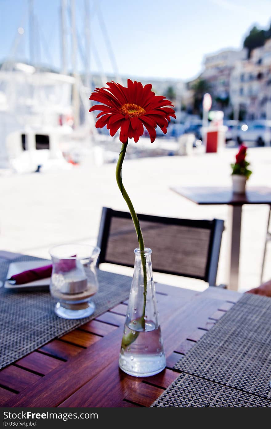 Served table in restaurant with daisy