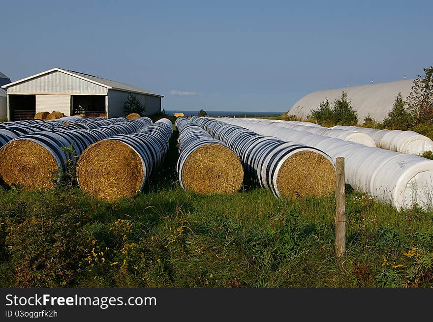 Hay bales in row 1