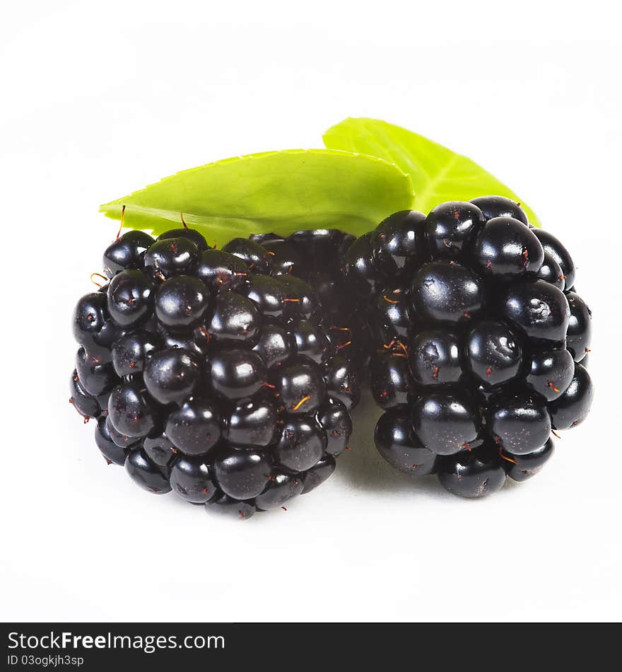 Close up view of blackberries on a white background with green leaf