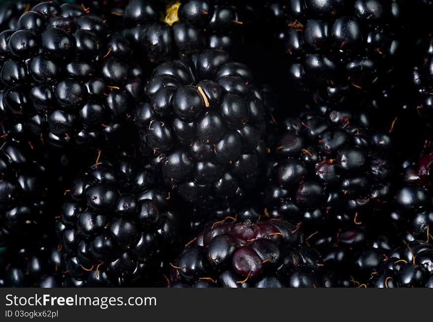 Close up view of blackberries