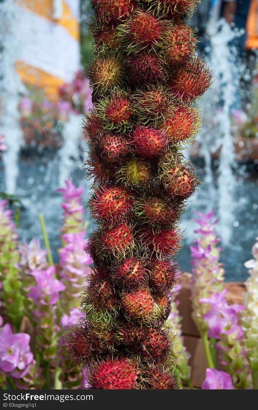 Thai fruits