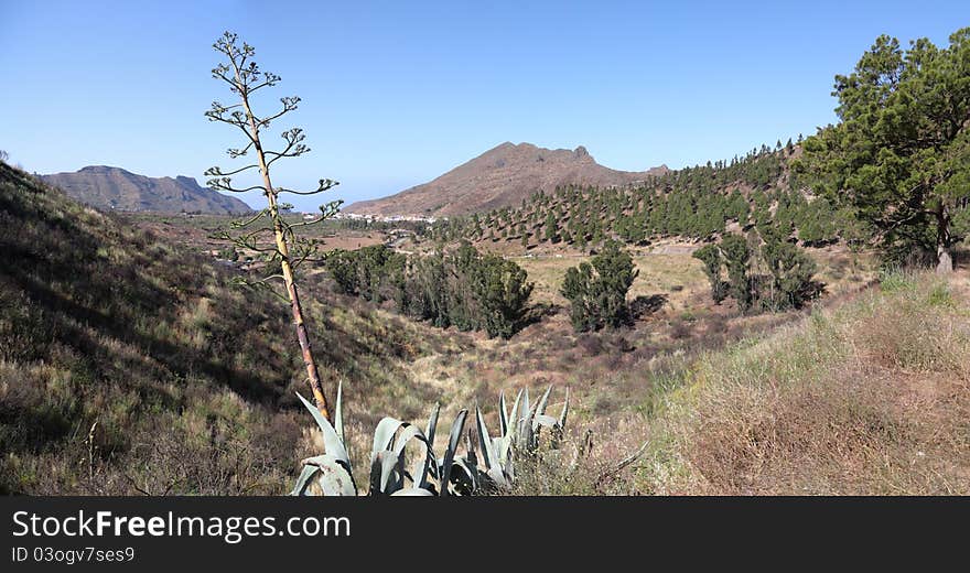 Landscape on Tenerife island