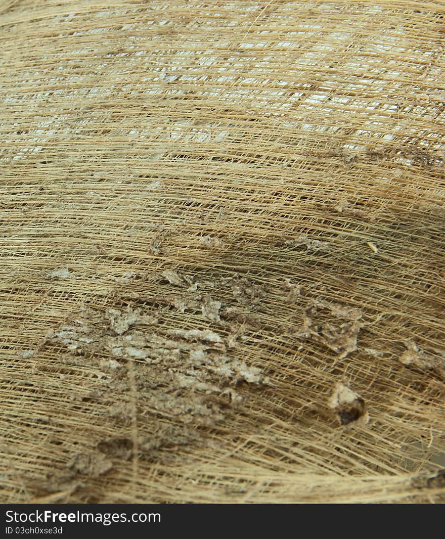 Coconut Fiber Texture