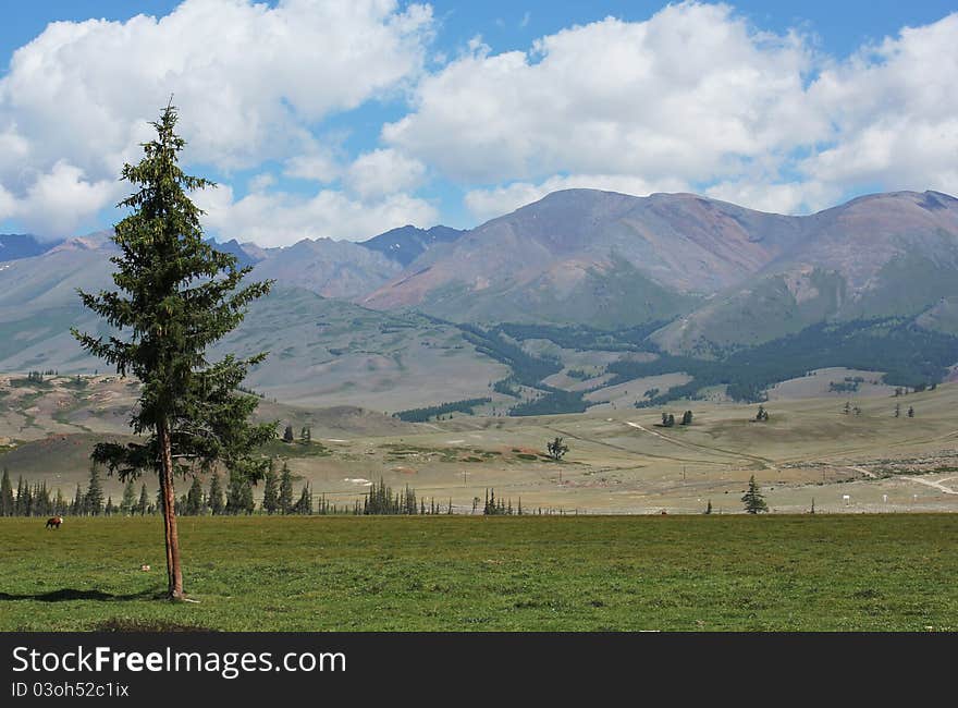 Mountain Landscape