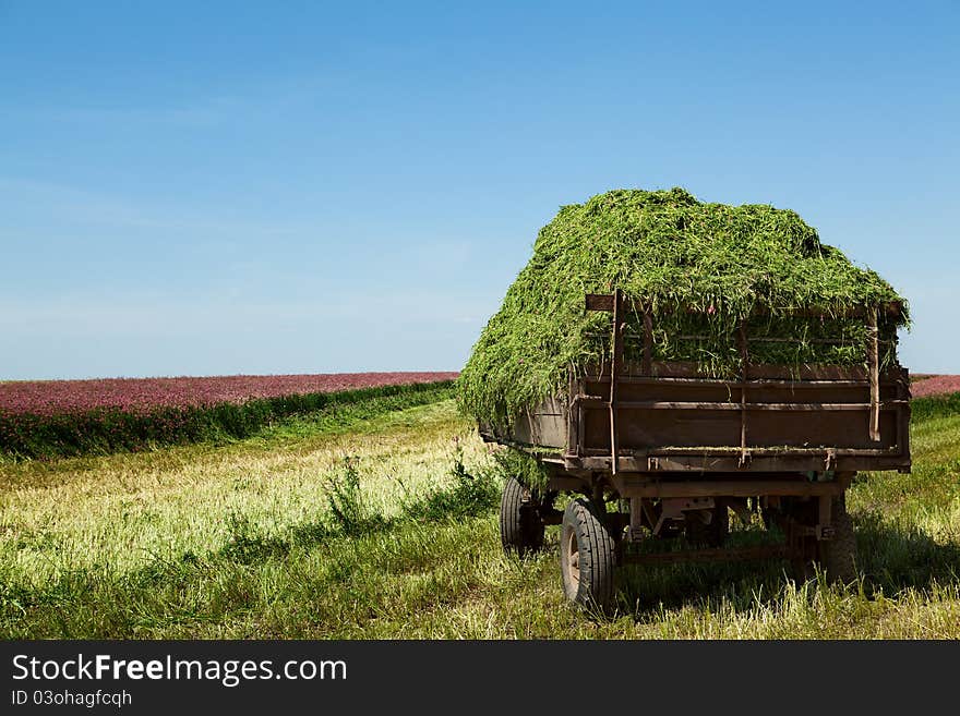 Trailer with a sloping grass field. haymaking