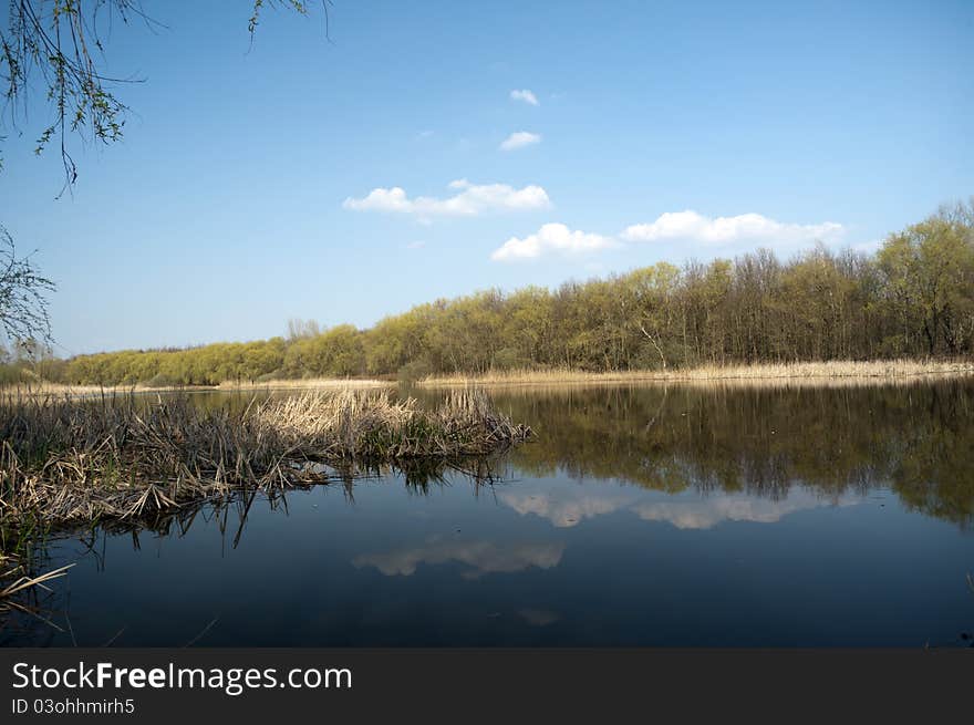 Clear water on the lake