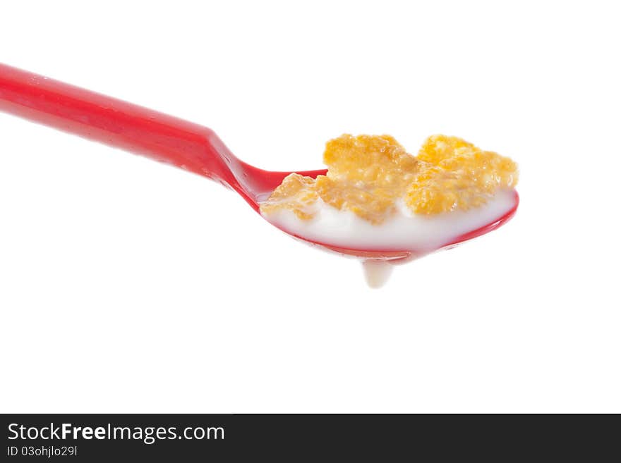 Cereal in red spoon with milk, healthy breakfast food