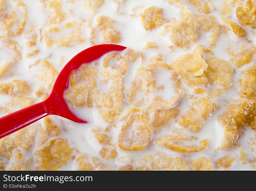 Cereal in the bowl with milk and red spoon, healthy breakfast food. Cereal in the bowl with milk and red spoon, healthy breakfast food