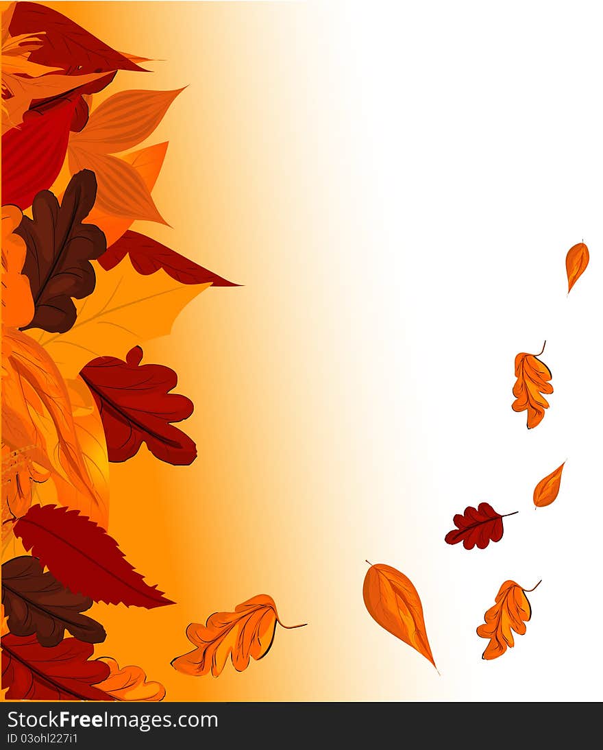 Beautifull Autumn background autumn leaves