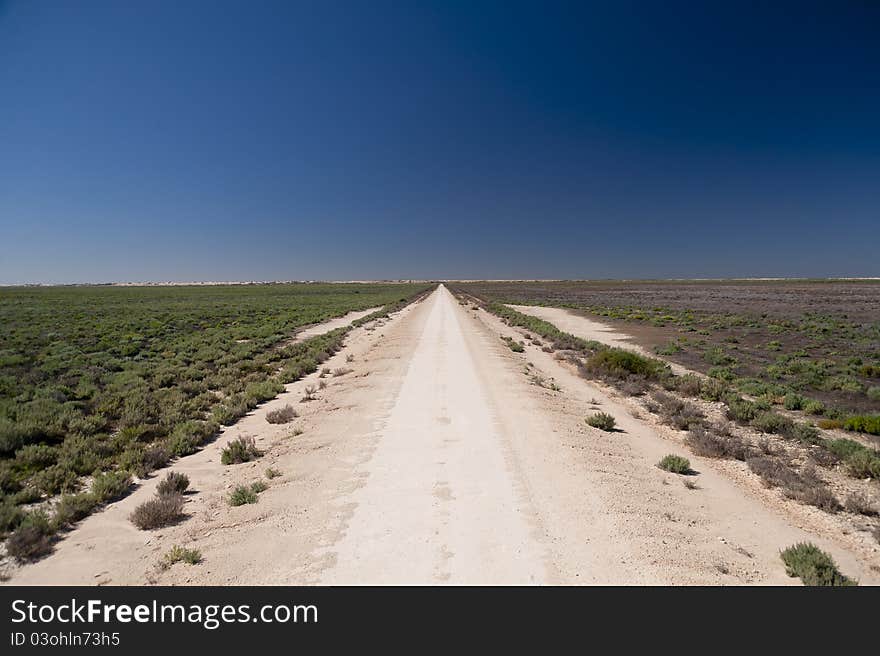 Unsealed country road in Australia stretching off to he horizon. Unsealed country road in Australia stretching off to he horizon