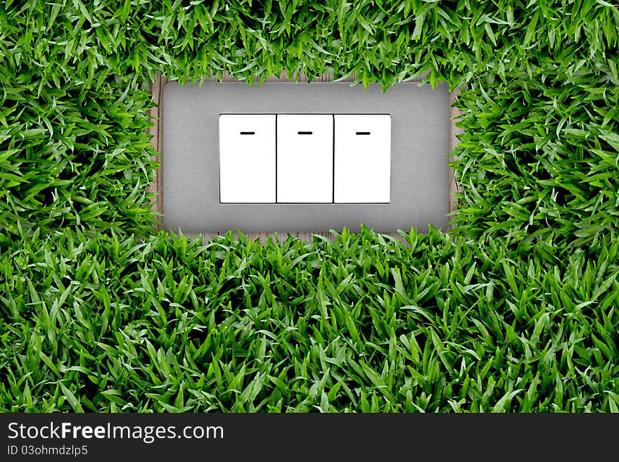 Switch button in green grass. Switch button in green grass