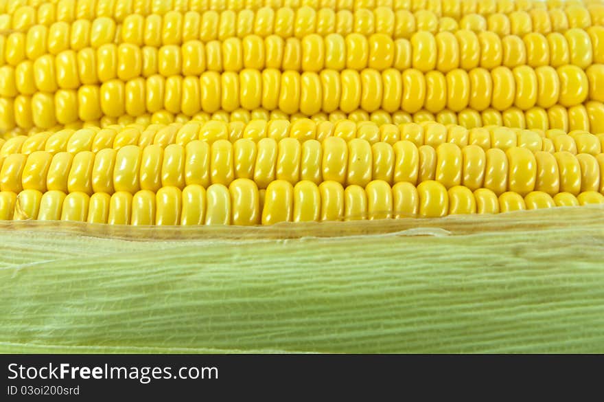 Close up of some fresh sweet corn in a market.