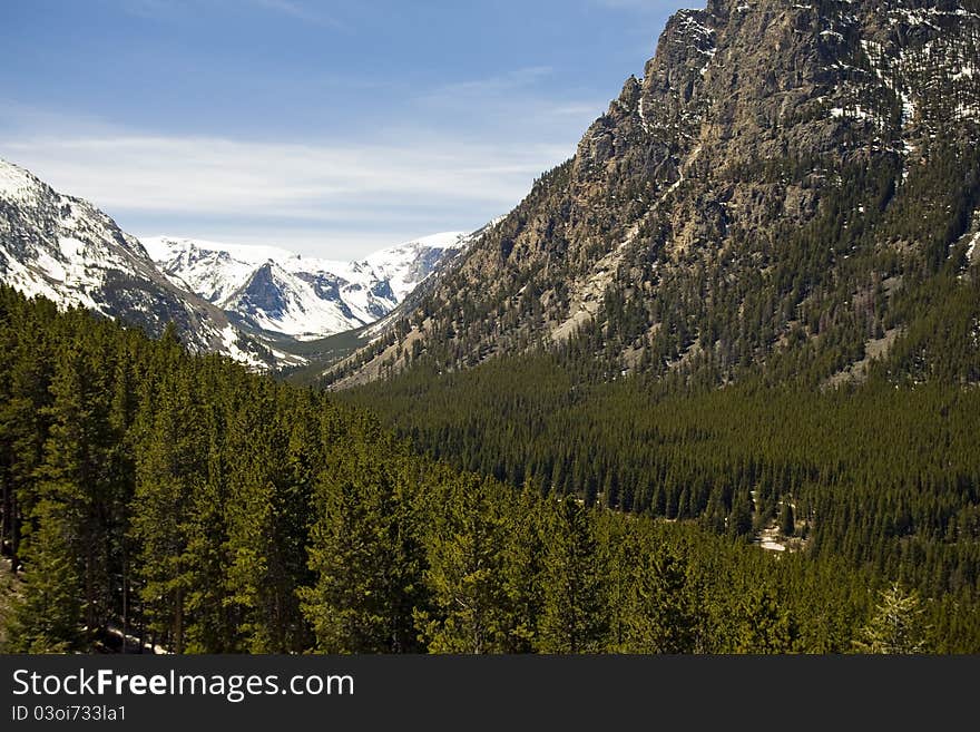 An image of Beartooth Pass at the Wyoming/Montana border in the summer.