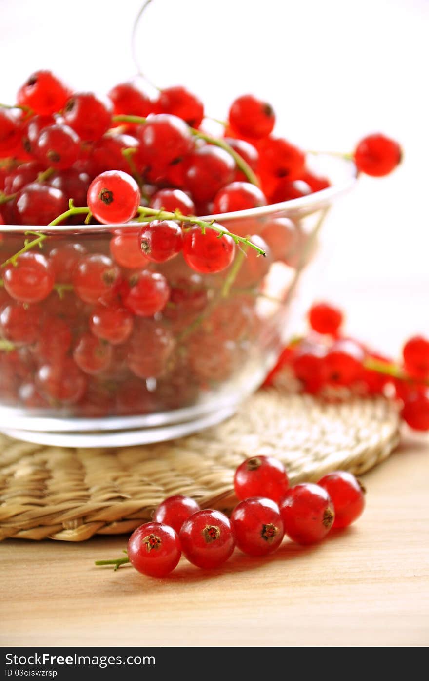 Red Currant