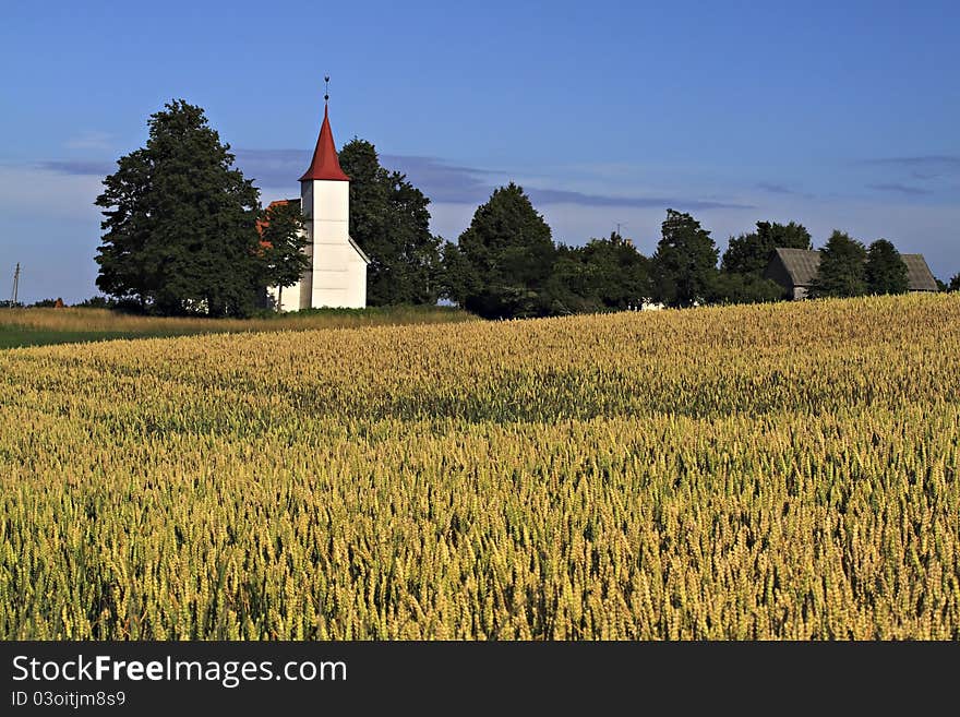 Old white church in field.