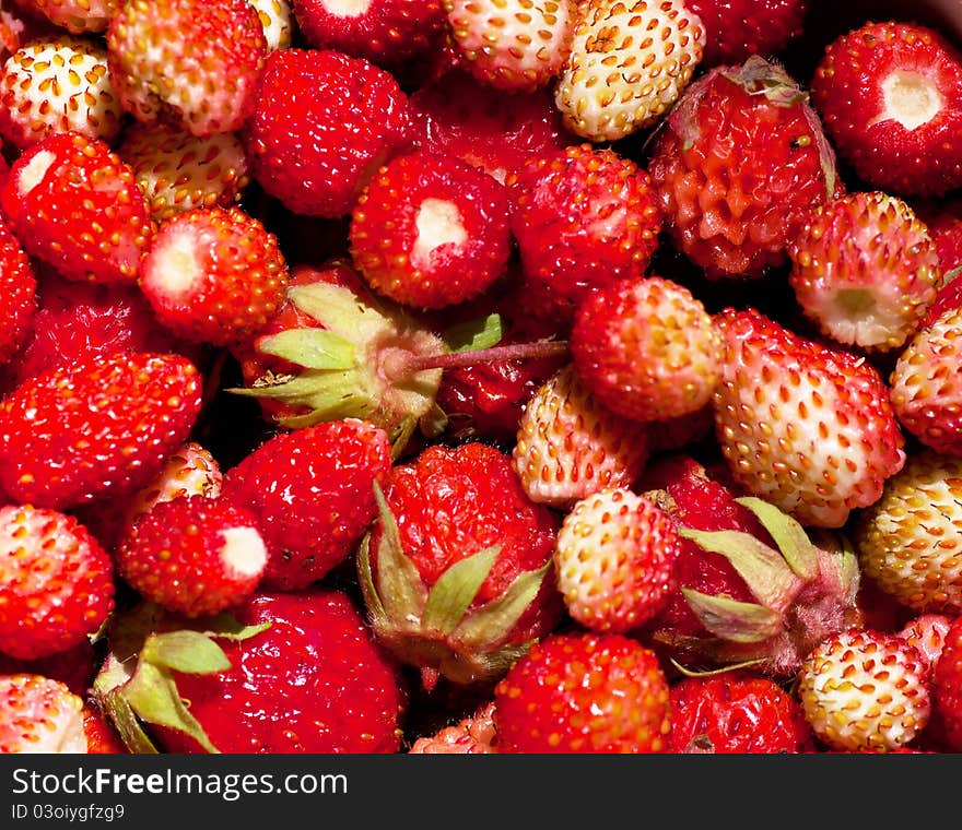 Macro view of a heap of fresh strawberries