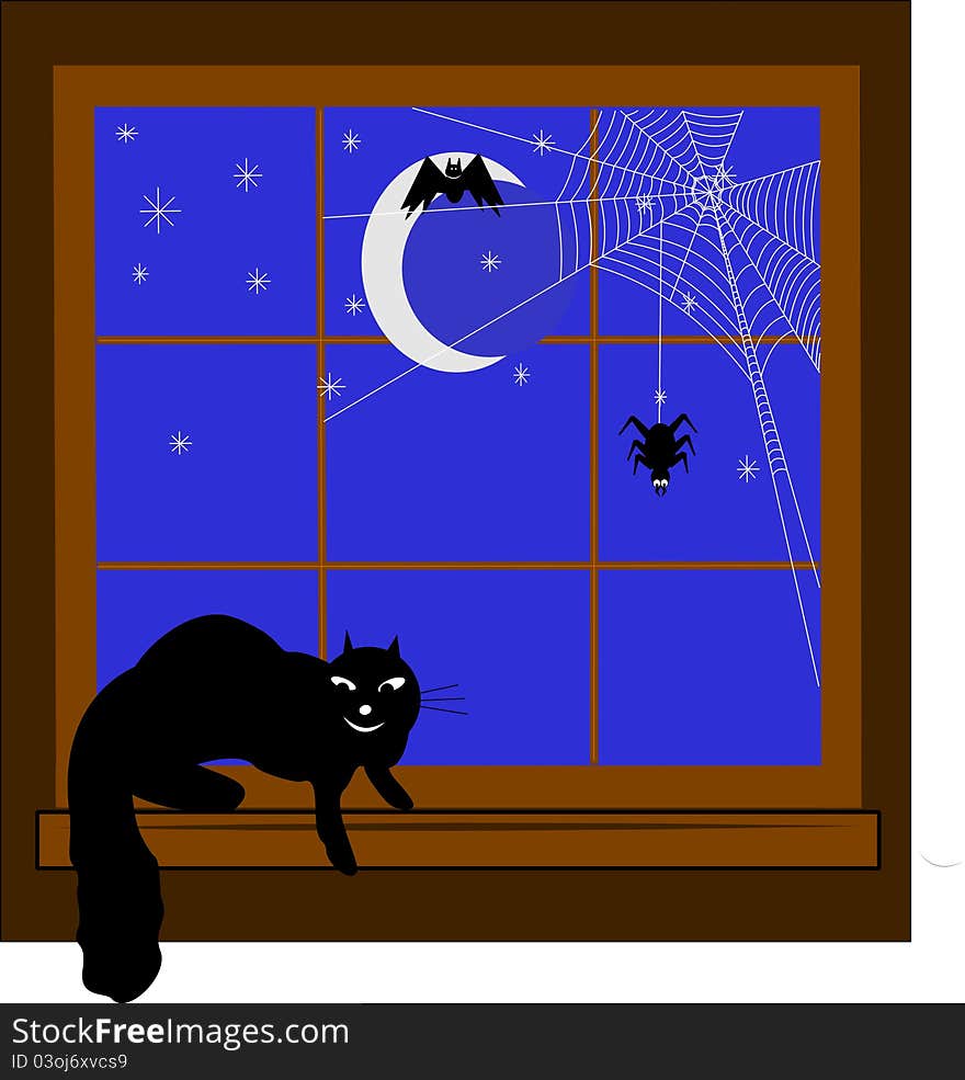 Cat sitting in window sill with spider and bat outside on dark night. Cat sitting in window sill with spider and bat outside on dark night