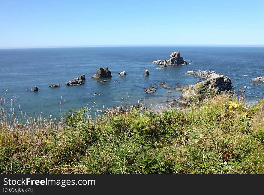 Ecola state park, Oregon coast & Pacific ocean.