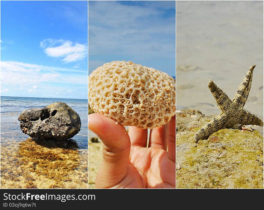 A collage of different image that can be seen in the beach. A collage of different image that can be seen in the beach.