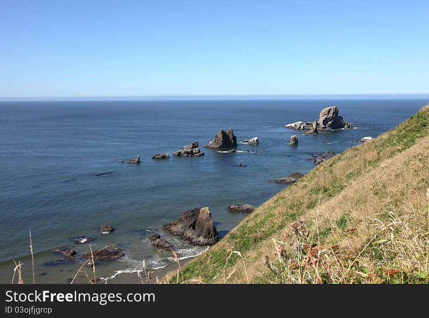 Bird sanctuary along the Oregon coastline near Ecola state park. Bird sanctuary along the Oregon coastline near Ecola state park.