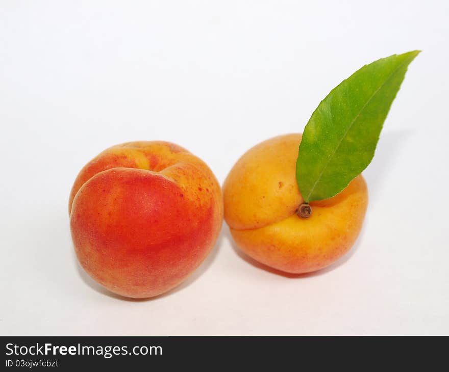 Apricots