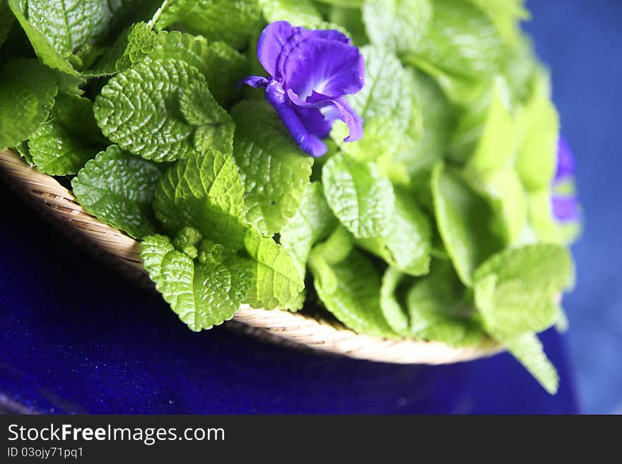 Herbal blue pea on spa tray set