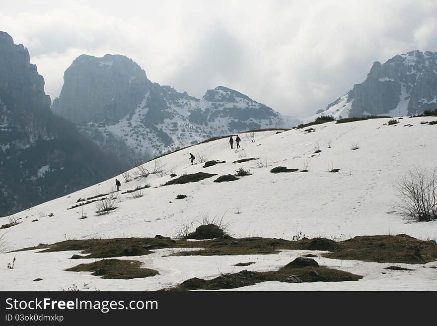 Magic winter landscape covered with snow. Magic winter landscape covered with snow