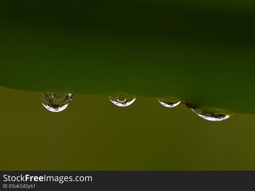 Water Drop