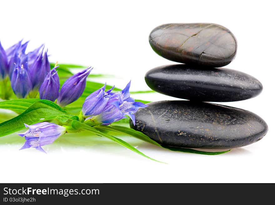 Spa stones and flower isolated on the white background. Spa stones and flower isolated on the white background.