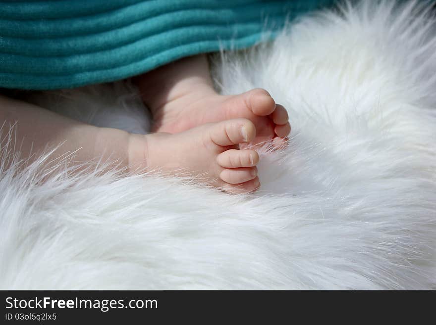 Tiny baby feet under a blanket lying on white fur. Tiny baby feet under a blanket lying on white fur