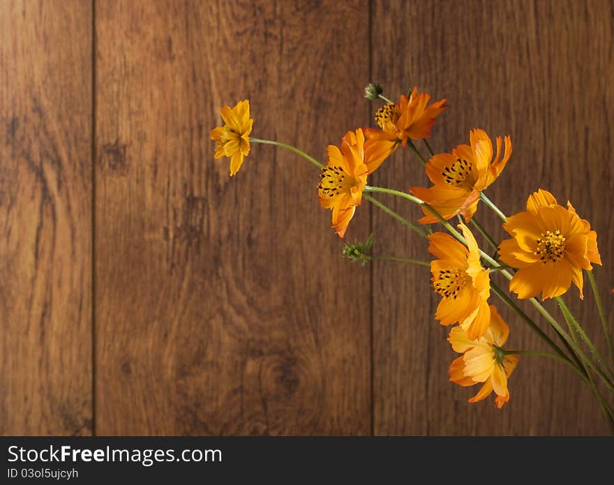 Orange flowers on wood background.