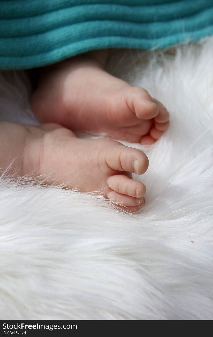 Tiny baby feet under a blanket lying on white fur. Tiny baby feet under a blanket lying on white fur