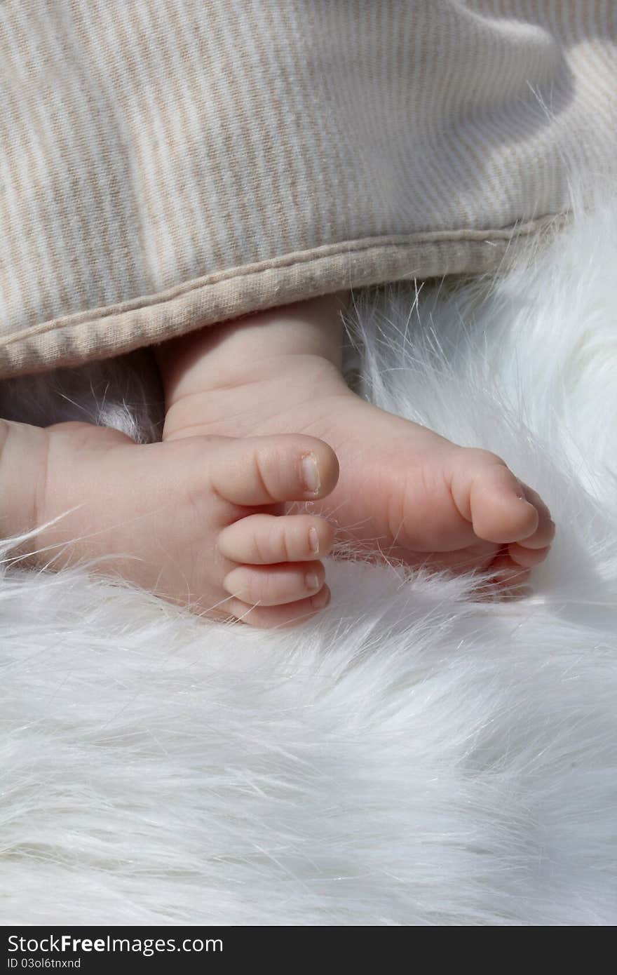 Tiny baby feet on white fur. Tiny baby feet on white fur