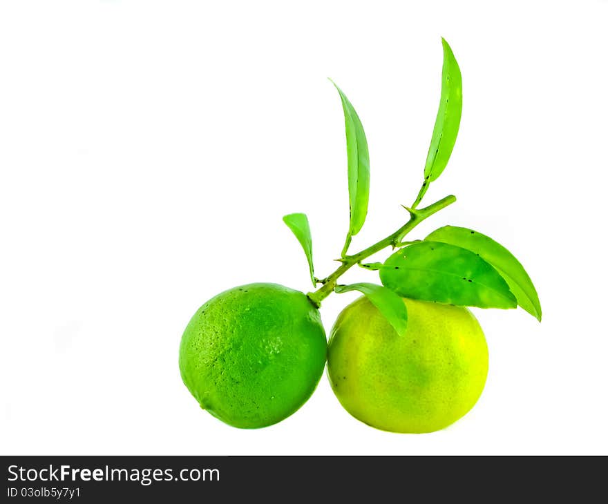 Two limes