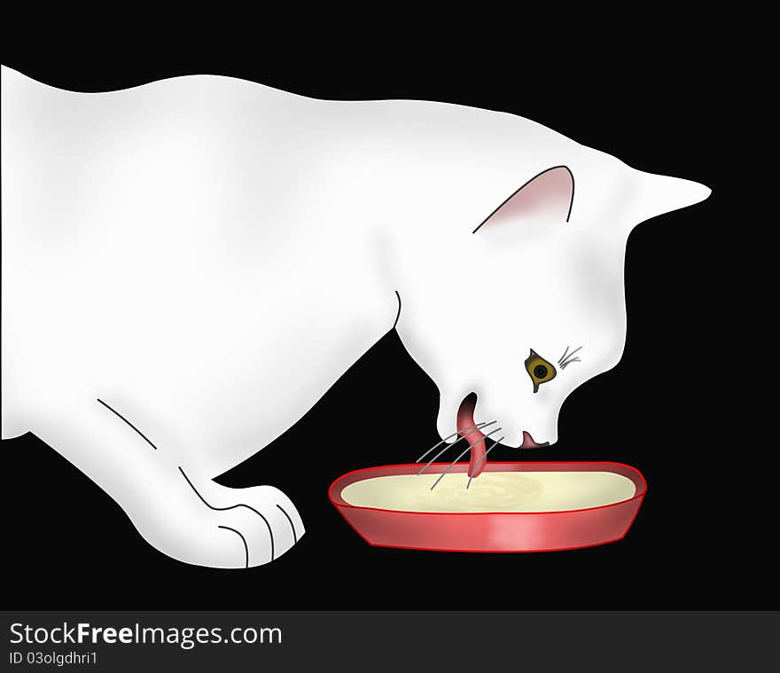 The white cat on a black background drinks milk. The white cat on a black background drinks milk