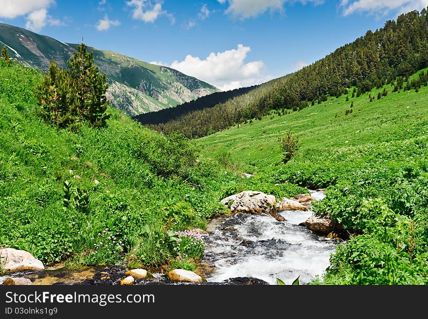 Summer landscape with green grass, mountains and river. Summer landscape with green grass, mountains and river